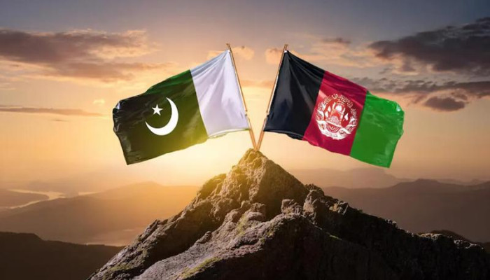 পাকিস্তানের ১৯ আফগান সীমান্ত পোস্ট দখলের দাবি