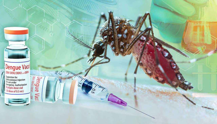 ডেঙ্গু ভ্যাকসিন কতটা কার্যকর! বাংলাদেশে কেন ব্যবহার হয় না